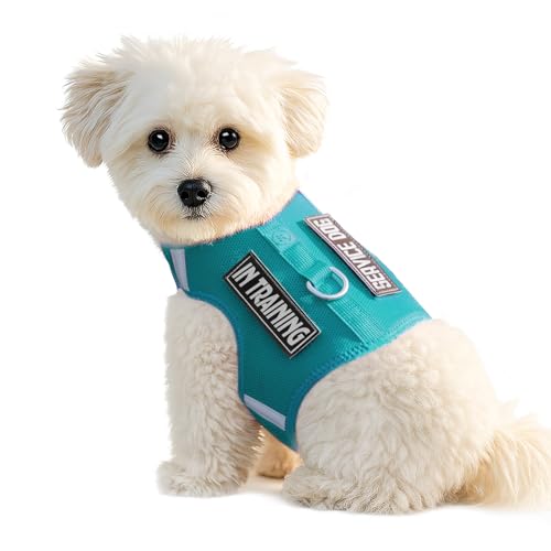 Sunraymascota Dog Harness for Puppy – Adjustable Reflective Easy Put On Soft Mesh Vest for Small Dogs with 2 Patches (MARRS Green,XXXS)