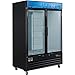 Nexel Ice Merchandiser, 2 Swing Glass Doors, 45 Cu. Ft.