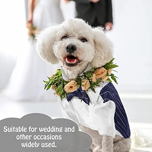 Dog Shirt Pet Tuxedo Clothes, Suit Bow Tie Graduation Costumes, Dogs Formal Apparel Outfit With Tie, Puppy Prince Wedding Bow Tie Gentleman Jacket For Small Medium Dogs Cats (Medium, Blue) #TOP2