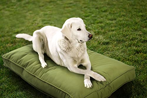 Sunbrella Double Sided Dog Bed for Indoor/Outdoor,Washable Cover & Chew Proof, Pets Mat for Multipurpose, Easy Care & Pet Safe Products (Small, Polyester, Kiwi, 26”x18”x 3