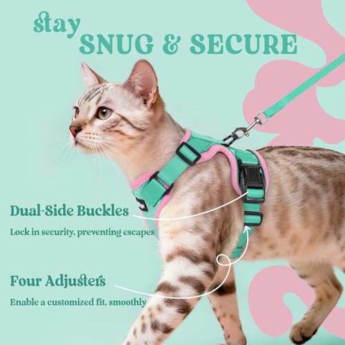 Image of rabbitgoo Cat Harness and Leash Set, Escape Proof Vest, Green & Pink | Soft Breathable Mesh, Easy Adjustable Fit, Snap Buckles, Sturdy Clip, Reflective Strips, for Kittens & Small Cats Walks, Xxs