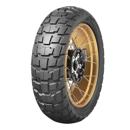 DUNLOP 170/60 R17 TRAILMAX RAID évite les glissades en tout-terrain