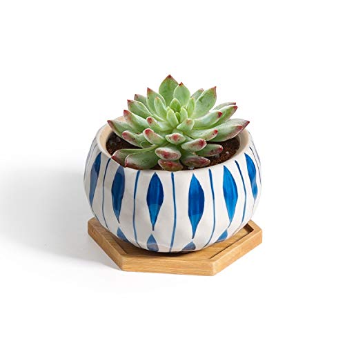 T4U Succulent Pots 4 Inch Ceramic Japanese Style with Saucer, Orchid Pattern Plant Planter Cactus Flower Container Aloe Bowl Indoor Home Office Decoration Christmas Wedding Gift