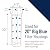 Pentair Pentek C1-20BB Big Blue Dual Purpose Carbon Water Filter, 20-Inch, Powdered Activated Carbon Cellulose Cartridge, 20" x 4.5", 5 Micron, 40,000 Gallon Capacity