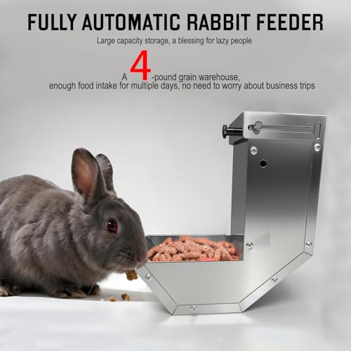 Mangeoire petits animaux de compagnie durables en acier inox - 4