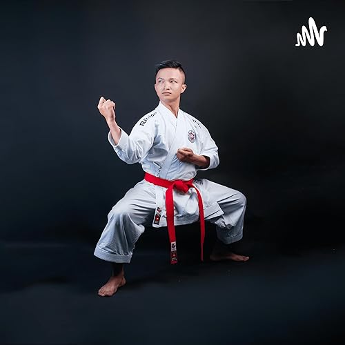 Chinese Kung Fu is a large system of theory and practice.