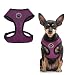 BINGPET BB5001 Soft Mesh Dog Harness Pet Walking Vest Puppy Padded Harnesses Adjustable, Purple Small
