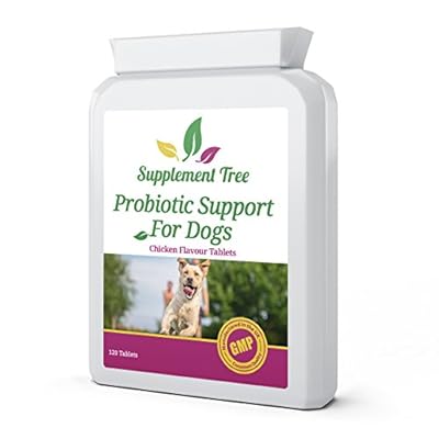 Probiotic Support for Dogs 120 Chicken Flavour Tablets - Advance Multi Strain Probiotics Supplement with Added Inulin Prebioitcs & Digestive Enzymes for Ultimate Digestive Health Support for Dog