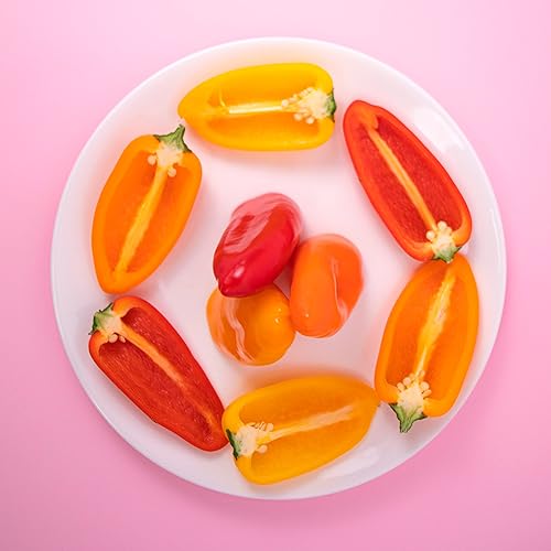 Minipimientos Tribelli® 0.6kg, La Parcela, Origen España, Andalucía (Costa Tropical), Comprar Fresco, De La Huerta A Tu Casa, Producto de Cooperativa Granada La Palma - imagen 9