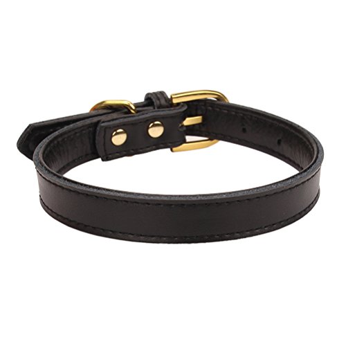 Aolove Basic Classic Padded Leather Pet Collars For Cats Puppy Small Medium Dogs (Black, Medium) #TOP2