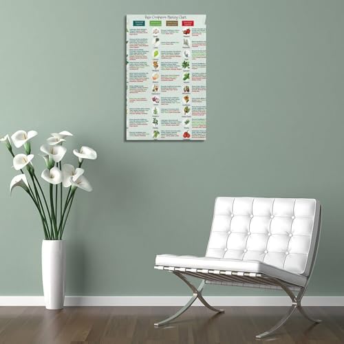 Image of GHJFDF Basic Companion Planting Chart Poster Garden Planting Types Reference Guide Wall Poster for Room Aesthetic Posters 16x24inch(40x60cm)