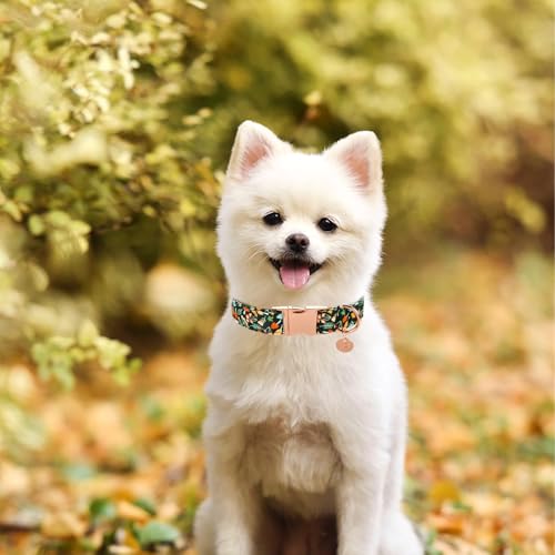 Image of Daisy Fall Cotton Dog Collar with Metal Buckle Gift Autumn Collar for Small Medium Large Girls or Boys Dogs Cute Durable Comfortable Pet Collars