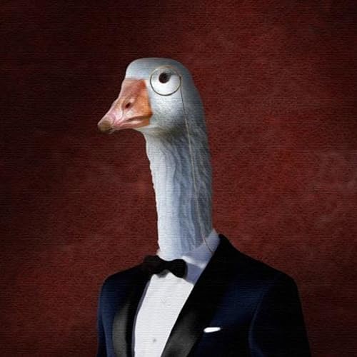 Mutstorm News cover art