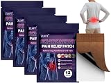 Cerotto per Il Rilassamento dei Muscoli Pelvici,48pcs Cerotto per Sciatica,Toppa Adesiva per Bacino,Cerotti Riscaldati per Il Dolore All'Anca,Cerotti per Dolore All'Anca,Cerotti per Nervo Sciatico