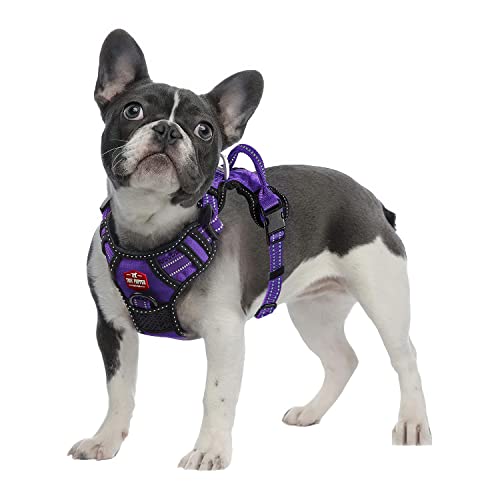 Tuff Pupper Anti Pull Heavy Duty Dog Harness, Easy Walk Front & Back Leash Clips, Strong Safety Handle, Reflective Vest, Comfortable Padded Training Harness, Small Medium Large Dogs (Small, Purple) #TOP1