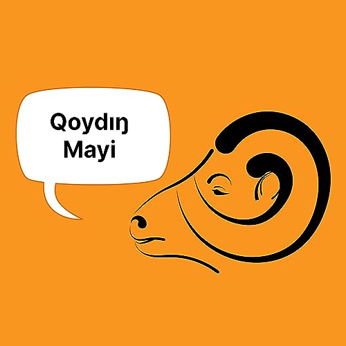 Couverture de Qoydin mayi