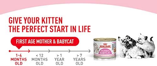 Royal Canin First Age Mother & Babycat bigamart.com