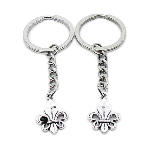 Porte-clés Fleur de Lis métal DP5I5 pour trousseau voiture et maison