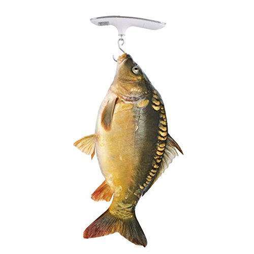 EMOS PT-506 Digital Hanging Scale weighing a fish