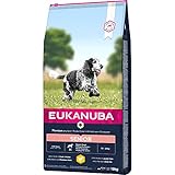 Eukanuba Hundefutter mit frischem Huhn für mittelgroße Rassen, Premium Trockenfutter für Senior Hunde, 15 kg