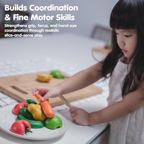 Image of Plan Toys 3495 Wooden Toy, Wood