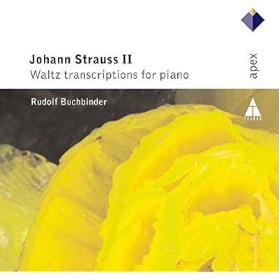J. Strauss Ii-Waltz Transcriptions For Piano