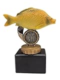 Trophäe F1 Karpfen Kreuzkarpfen Karpfen Farbe 13cm Preis Commercial Angelwettbewerb Wettbewerb Fisch Angeln
