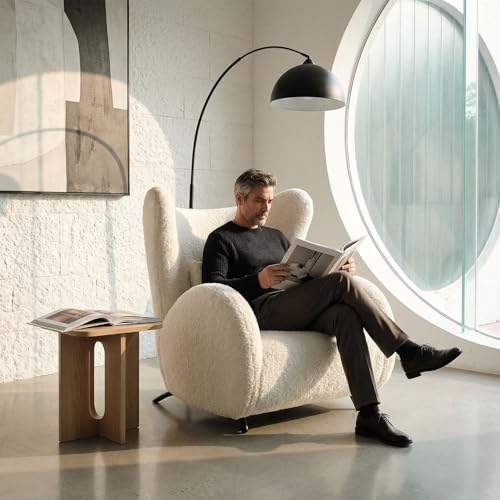 Alyncasa Modern Design Cream Boucle Accent Chair, Furry Sherpa Elegant