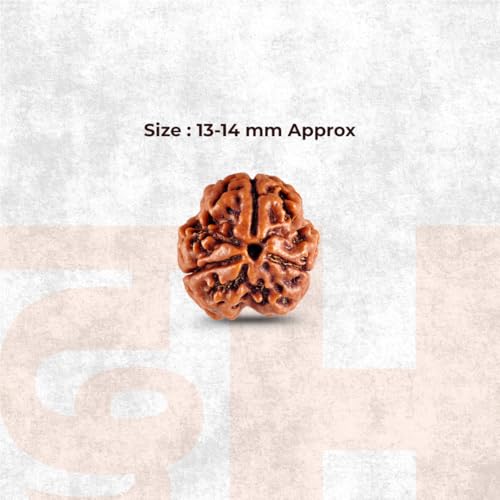 Image of Divine Hindu Original 3 Mukhi (Three Face) Indonesia Rudraksha | Teen Mukhi Rudraksh Bead for Meditation, Protection & Spiritual Growth | Natural Rudraksha for Men & Women | Prayer Bead for Success
