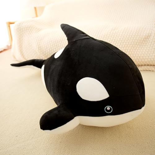  V` ʂ 傫 \tg ӂӂ ܂ ܂ w ObY  炩 킢 炩 Q Q  Cm  Q ubN 30cm 蕨 X  蕨 Cxg