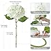 ZYTUYO 20 inches 4 Pcs Ivory White Real Touch Hydrangea Artificial Flowers Boho Lifelike Real Looking Latex Hydrangeas Flower with Long Stem for Home Decor Spring Table Centrepiece