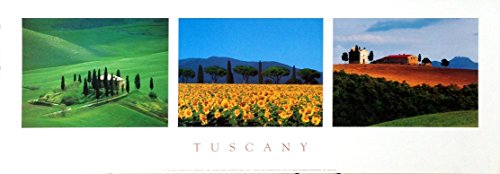 Affiche Tuscany Serena Sunflowers 33X95 cm pour illuminer votre salon