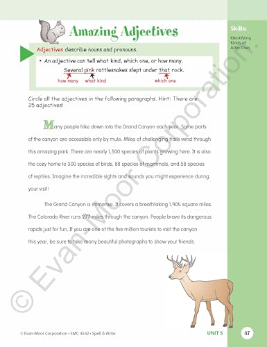 Evan-Moor Skill Sharpeners Spell and Write Workbook, Grade 6, 144 Spelling Words, Test Prep, Synonyms, Antonyms, Grammar, Punctuation, Adjectives, Creative Writing, Vocabulary, Activities, Homeschool - Image 6