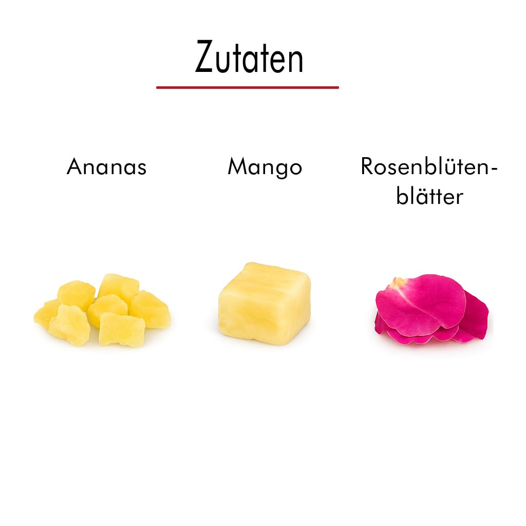 Bio Früchtetee „Traumfrau“ 500 g – Premium Früchtetee Mischung mit fruchtigem Geschmack, Tee Geschenk für deine Traumfrau oder als Teegeschenk für deine Liebste - loser Tee von Quertee