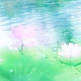 岸辺の花 歌詞