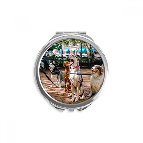 Miroir de poche rond chien mignon petit miroir maquillage portable main