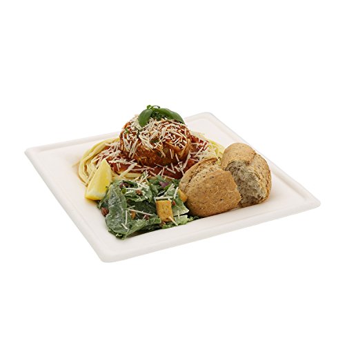 CiboWares 10 Inch x 10 Inch Square Sugarcane Bagasse Plates, Disposable and Eco-Friendly
