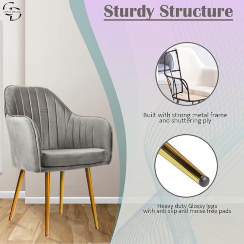 Image of Velvet Accent Chair | Luxury Upholstered Armchair with Sturdy Metal Legs | Modern Comfortable Chair for Living Room, Bedroom, Office, or Cafe (Golden Legs, Grey)