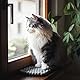 CATLABS Katzen Fensterbankauflage aus Filz 65x20cm - 100% natürliche Schafwolle/Filz ohne Polyester - Liegematte für Katze - Katzendecke Wolle - Katzenablage Liegeplatz Fenster