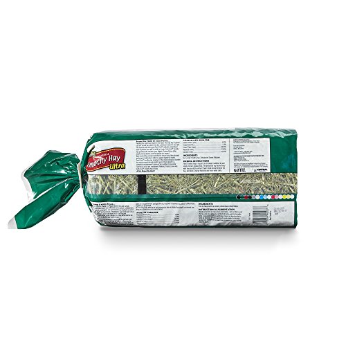 Kaytee Timothy Hay Ultra miniatura 2