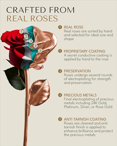 Image of Forever Rose Two Real Roses Dipped in Rose Gold, Handcrafted Preserved Rose in Acrylic Heart Vase and Luxury Gold Gift Box, Romantic Gift for Her, Elegant Keepsake for Anniversary, Birthday
