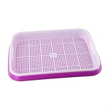 Yuanpgky Vassoio multifunzione per germogliare il grano, vassoio per vivaio per un avvio efficiente, design impilabile in plastica con colori verde, bianco, viola (verde) immagine