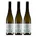 Produktbild Weinhaus Brand | Bio Weißburgunder trocken (2020) | 3 x 0,75l Weißwein | weißer Burgunder vegan | 12,0% | Weisswein | Pfalz Wein | Qualitätswein | Bio-Siegel DE-ÖKO-006 | zum Verschenken