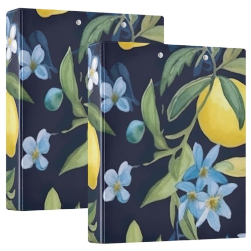 Classeur 3 anneaux D 3,8 cm avec porte-bloc aquarelle citron bleu ex2