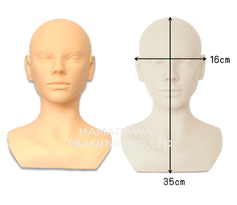 【未使用 2体セット】マッサージ練習用マネキン 上半身 フェイシャルデコルテ Amazon.co.jp: マッサージ練習用 デコルテ マネキン上半身