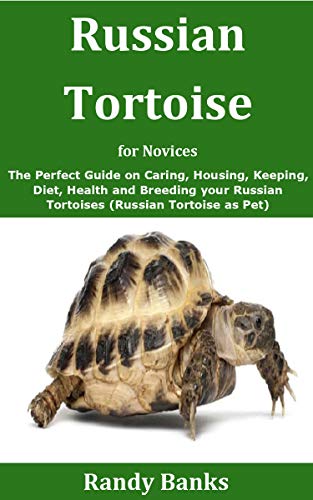 buy russian tortoise