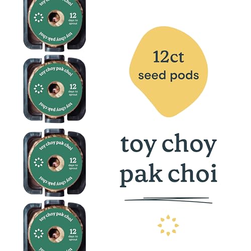 Rise Gardens Toy Choy Pak Choi Pod Kit, Vegetable Seeds for Planting in Hydroponic Gardens and Indoor Growing Systems, 12-Pack