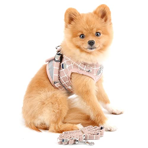 PAIDEFUL Plaid Mesh Harness for Small Dogs Large Cats No Pull No Choke Escape Proof Soft Vest Padded Vest Puppy Leash Lead for Kitten Walking Adjustable Comfy Jacket Chihuauha Training