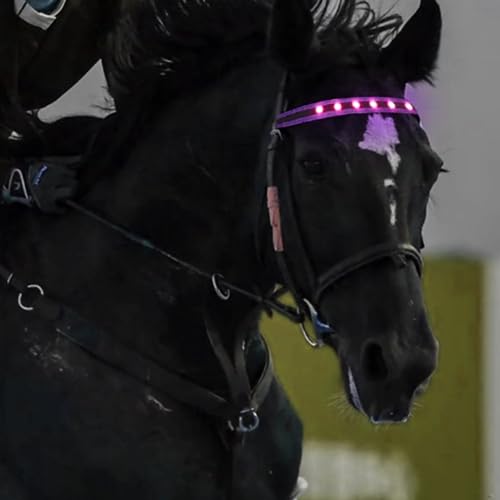 QQY Horse Headband LED Horse Breastplate Collar LED Strip Visibility Tack Horse Head Strap Bandage Strap for Night Horse Riding Equestrian Competition Event (Pink)