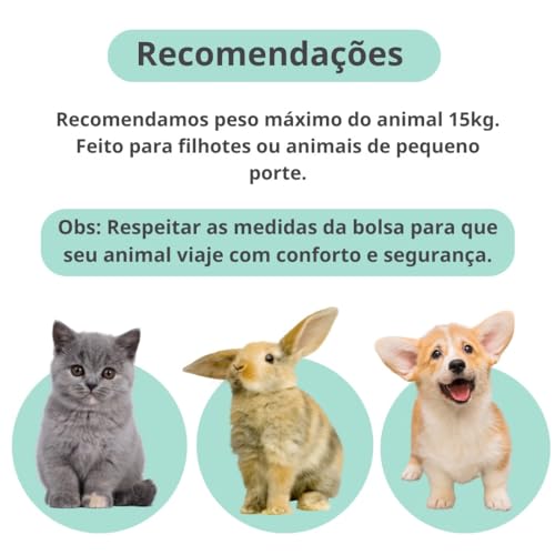 Bolsa de Transporte Para Pet Cachorros e Gatos com Ventilação Viagem Avião Passeio (verde)